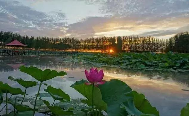 太全了！保定各县区的代表性景点，来保定旅游去这些地准没错