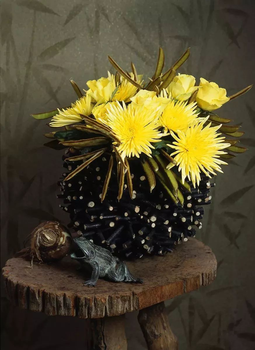 好看的切花菊推荐,好看好养的切花菊