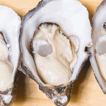 沈阳阿尔卑斯自助：海鲜、丰富的披萨＆肉类、精致甜点＆水果...