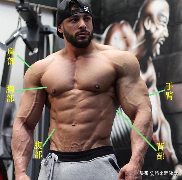 使用哑铃6个动作使你练遍全身,用一个哑铃锻炼全身10分钟