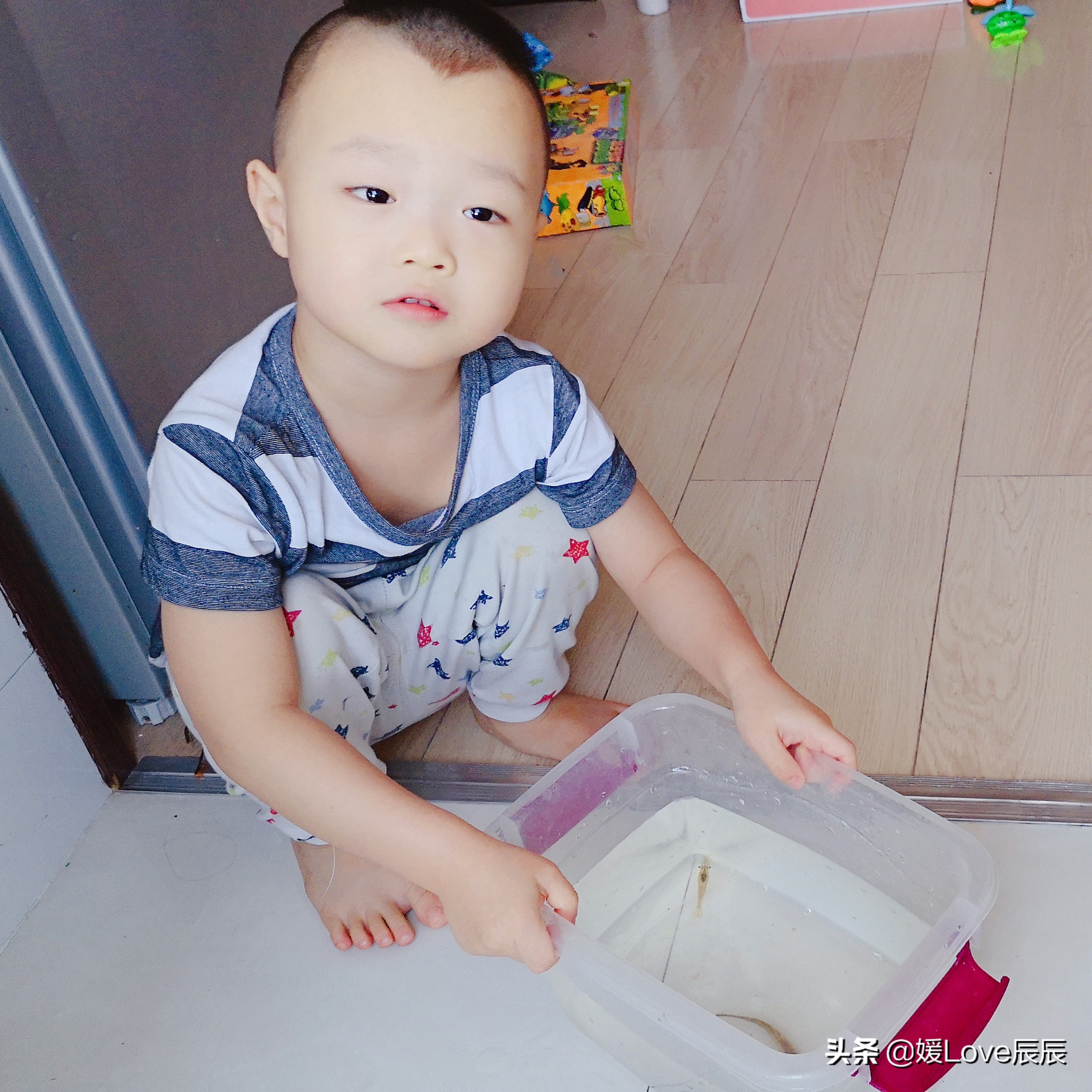 认识泥鳅活动过程,泥鳅视频启蒙儿童版1-3岁