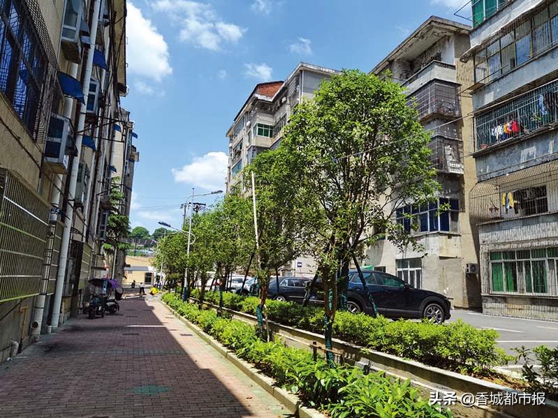 想在“细微处”改在“心坎上”——温泉街道“红色物业”全覆盖工作掠影