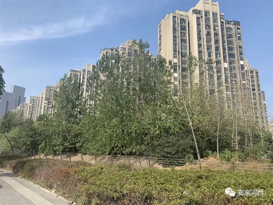 河西区新城小区改造,河西新城小区是学区房吗