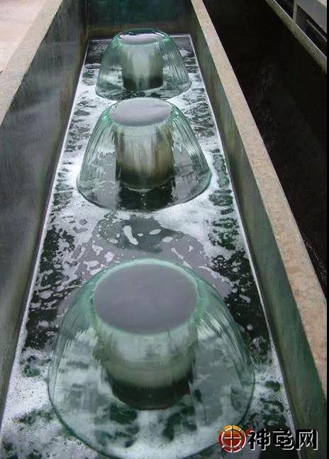 龟箱表面有油膜怎么办,龟缸水里有油膜是什么原因