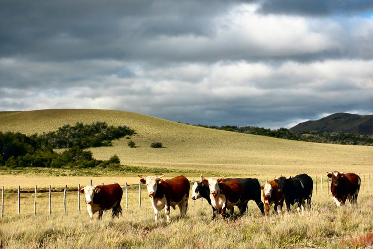 英国放弃了哪些殖民地国家,英国为什么不愿放弃马岛