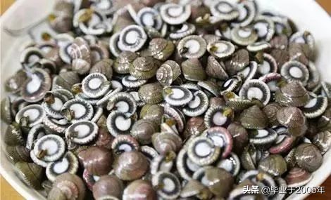 大连海鲜吃货,大连海鲜的种类