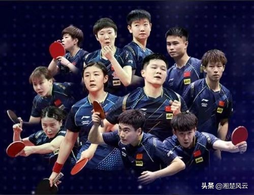 国乒热身赛樊振东孙颖莎,刘国梁对孙颖莎樊振东对比