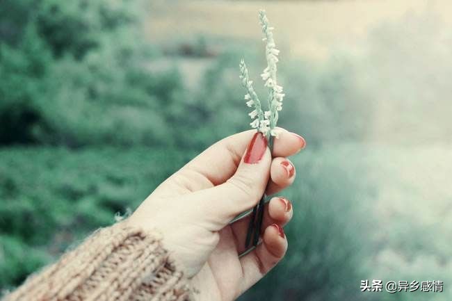 哪有岁月静好只是冷暖自知的文案,岁月静好冷暖自知是我最大的感悟