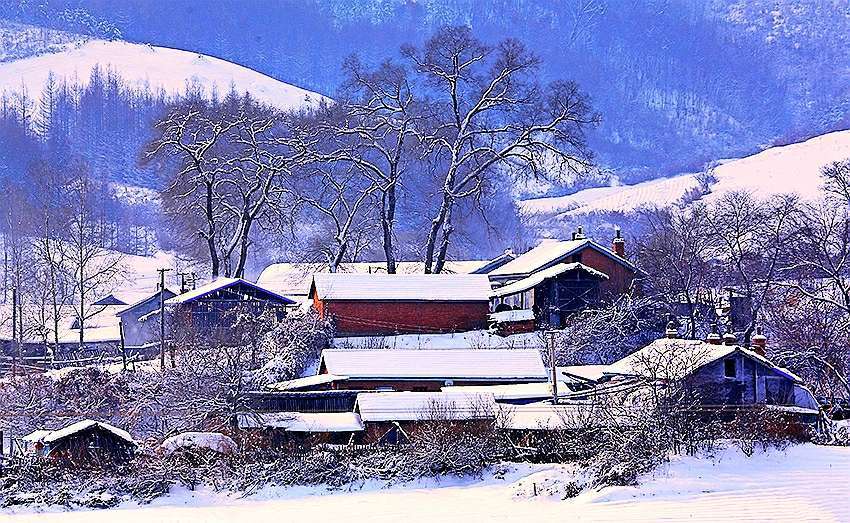 东北人受不了南方的冷吗,为什么北方人冬天喝冰水