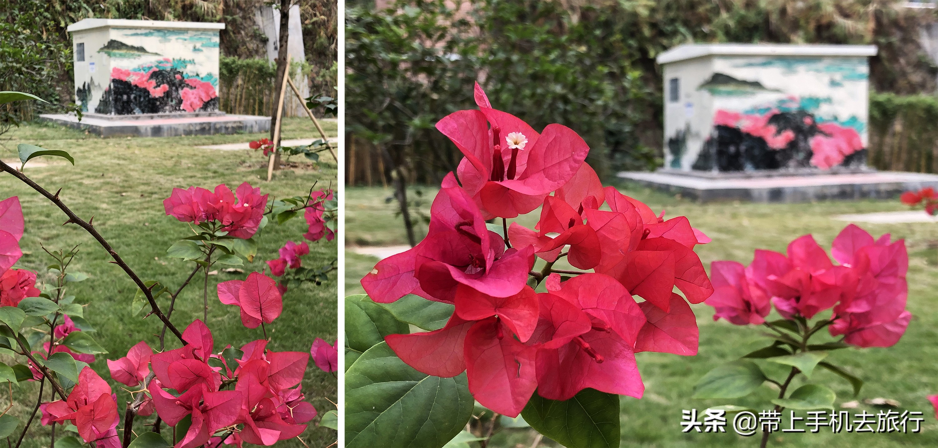 “减法”、虚化和“加法”,让画面瞬间干净简洁唯美