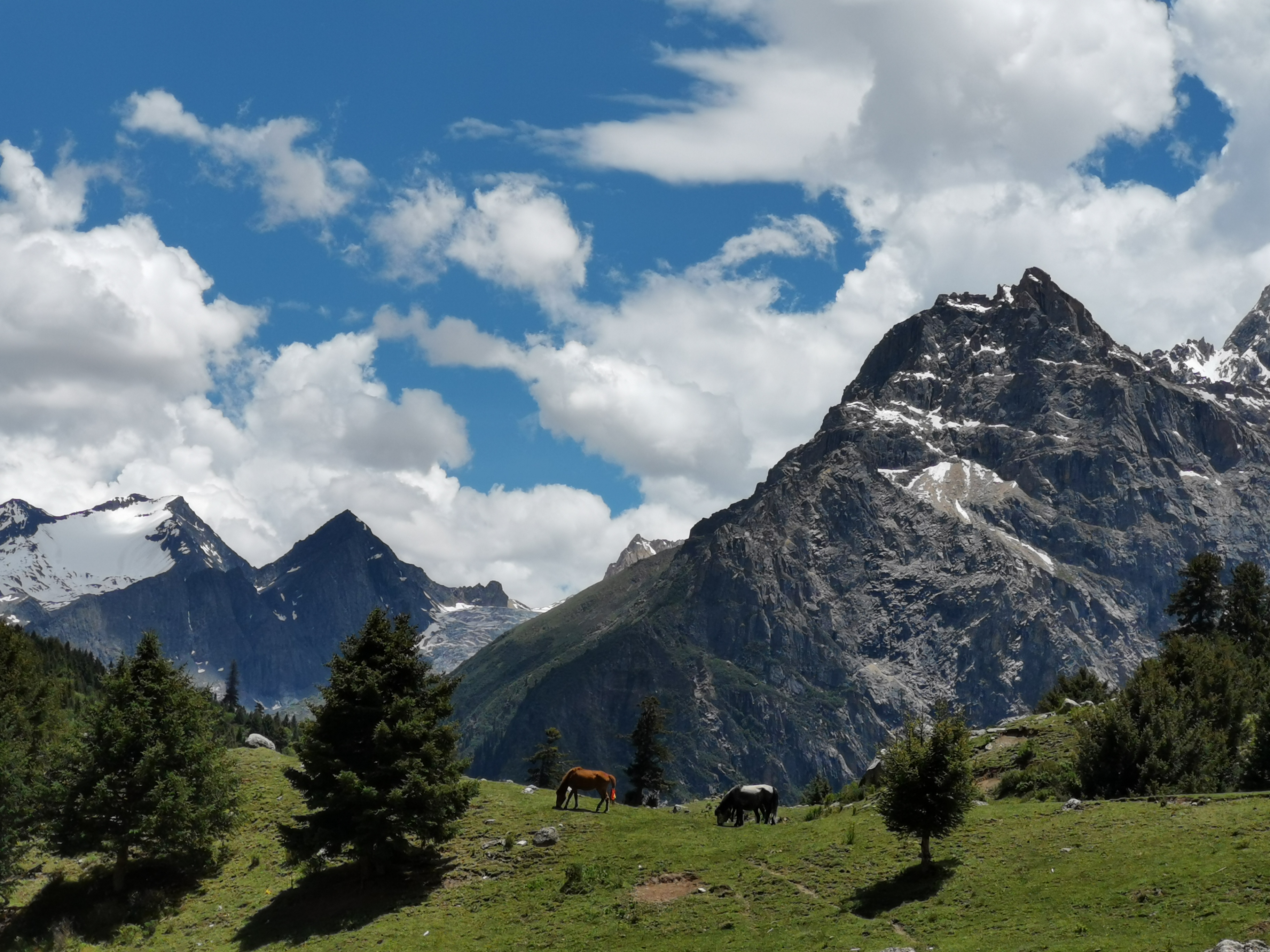 一行禅师如何放下内心所有的期待,一行禅师善待自己