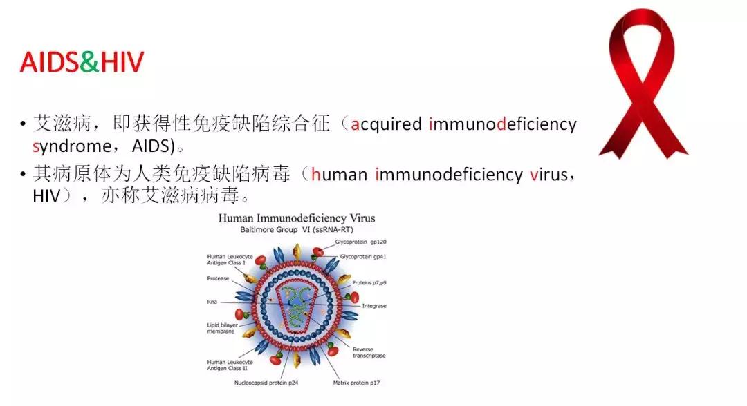 术前传染病检查科普,医院术前检查hiv阳性几率多大