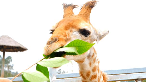 适合所有人旅行的5个宝藏目的地,游玩新体验每周必去的宝藏好地