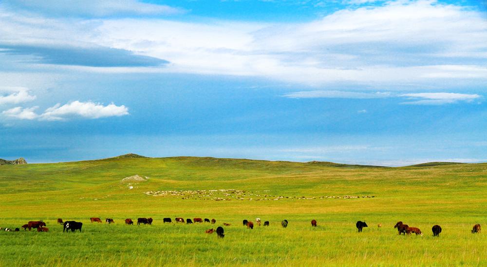 为什么当时匈奴人的势力这么强大,匈奴人的强大到了什么程度呢