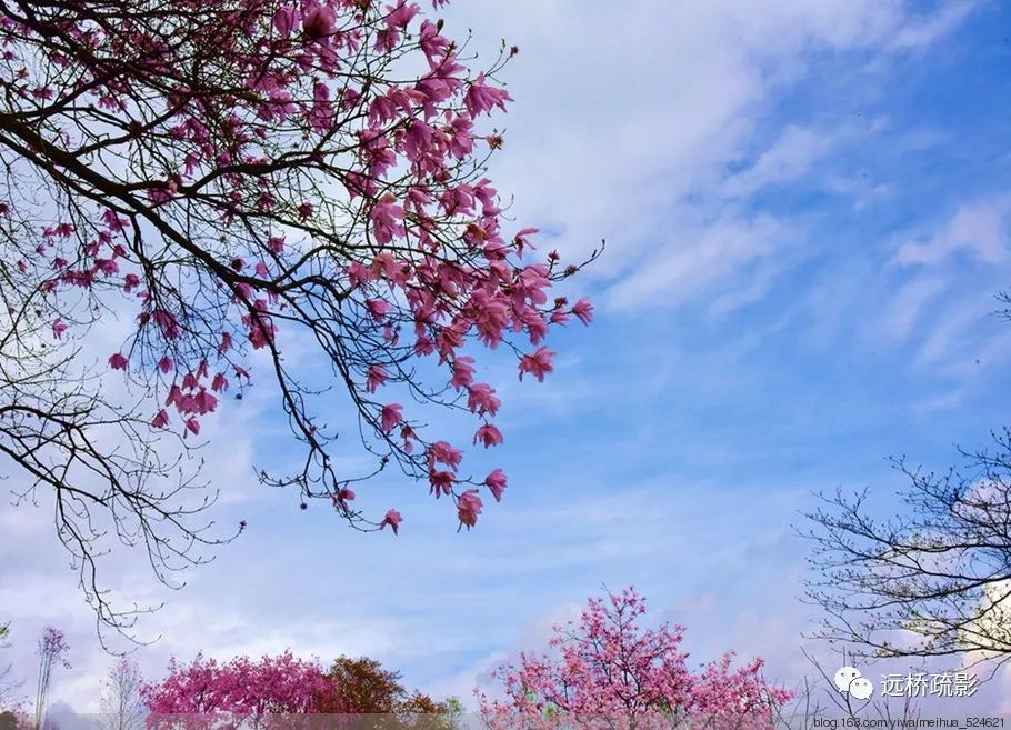 药王谷里觅旧迹（原图文）