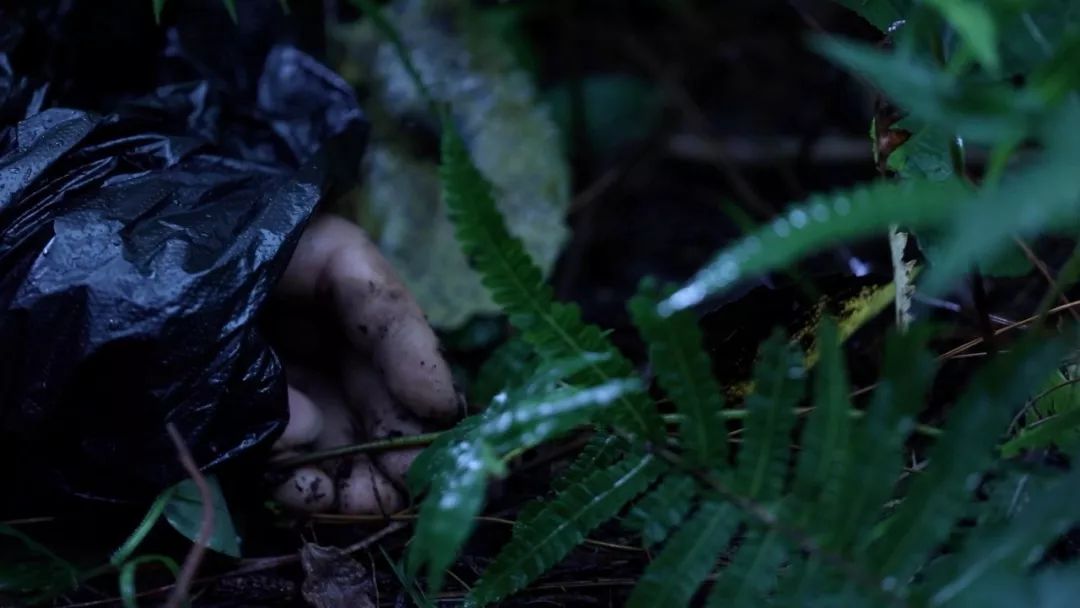 央视重口法医纪录片,网友直呼看不过瘾