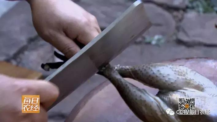 云龙诺邓火腿加工,云龙矮脚鸡