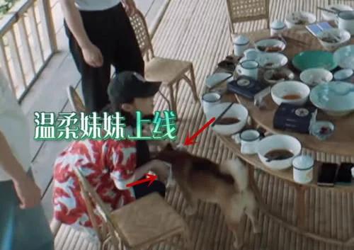 张子枫和小h,张子枫小h