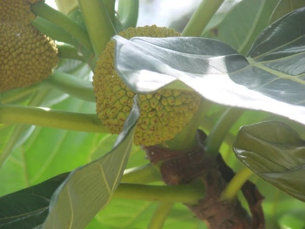 一个人在海边玩一天,一个人在海边怎么玩