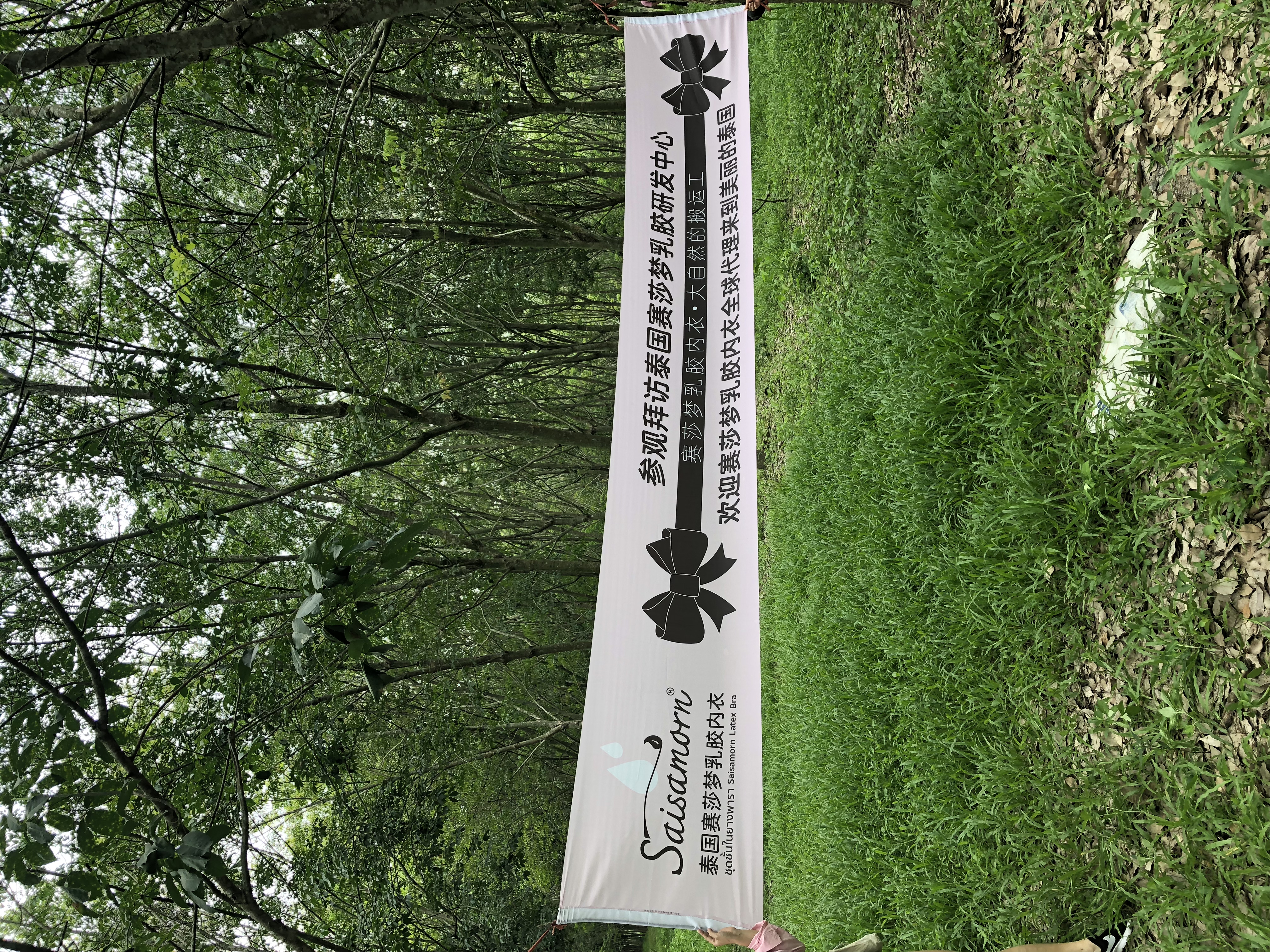 赛莎梦乳胶内衣直销,泰国赛梦莎乳胶内衣价格