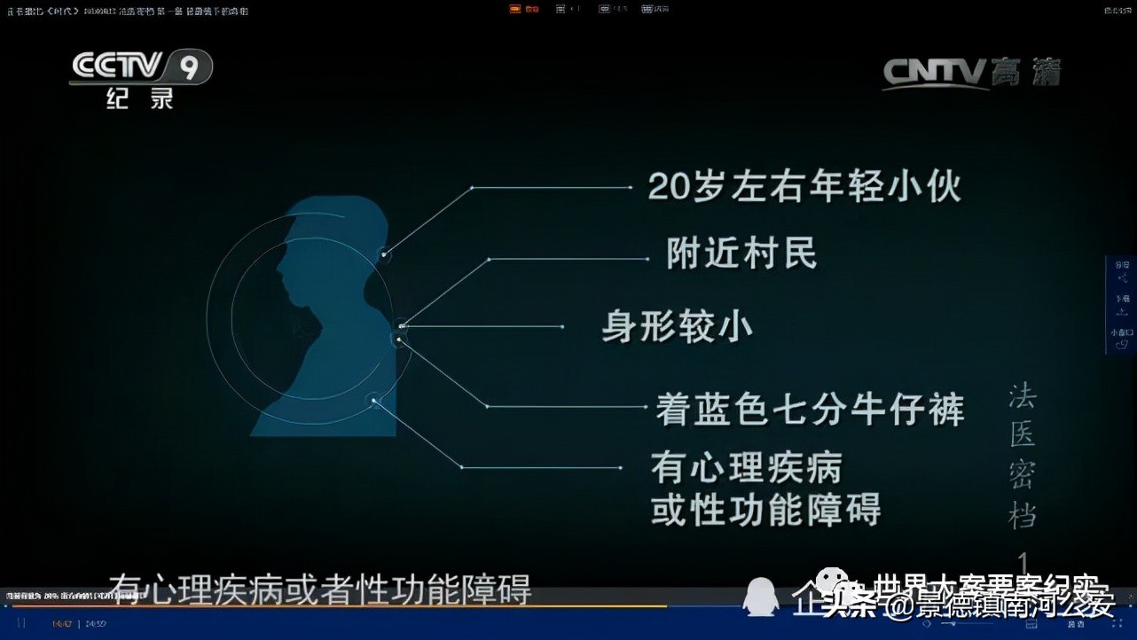大案纪实法医四人组,大案纪实法网恢恢