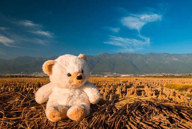 《一生世》|不是“一生”,也不是“一世”,看“我”的残缺人生