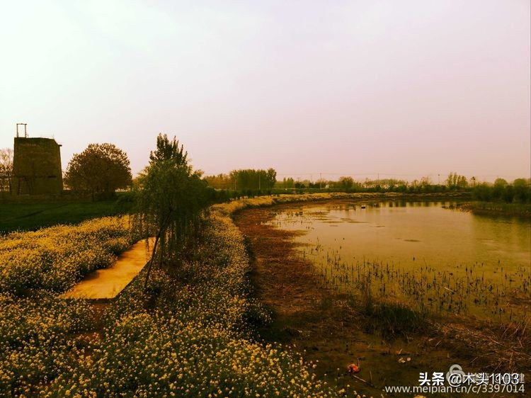 枣庄薛城邹坞镇中陈郝村,枣庄中陈郝村在哪里