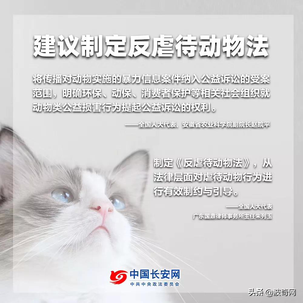 铏愮尗鍥紮浜嬩欢,铏愮尗鍥紮姝讳骸鍚庣画