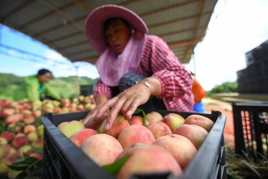 余庆龙溪高速路线,沿着高速看湖南沅陵