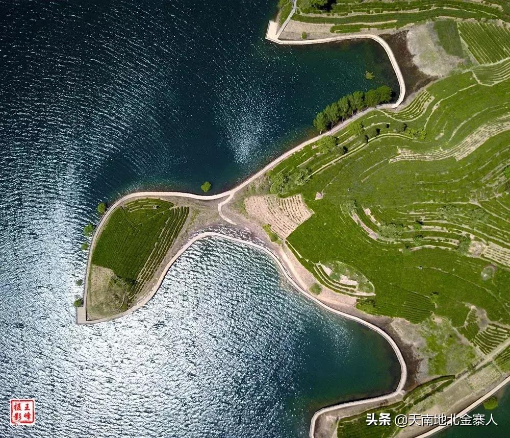 五百里茶谷,五百里茶谷图片