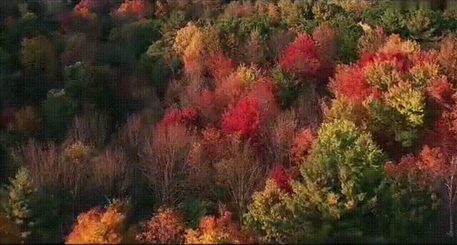 黑龙江旅游小众胜地,黑龙江值得旅游的10个地方