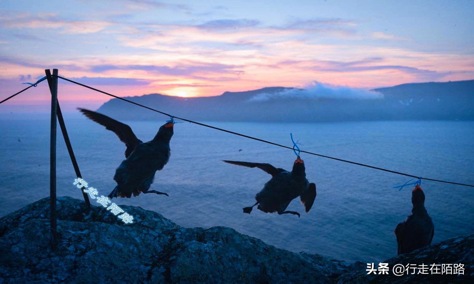 俄乌两国距离多少公里,美俄距离仅4公里