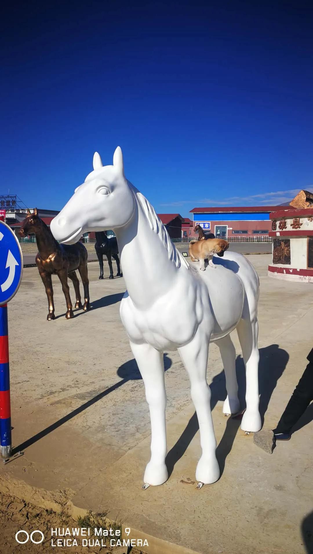 纳木错川藏线旅行,川藏线纳木错旅游攻略