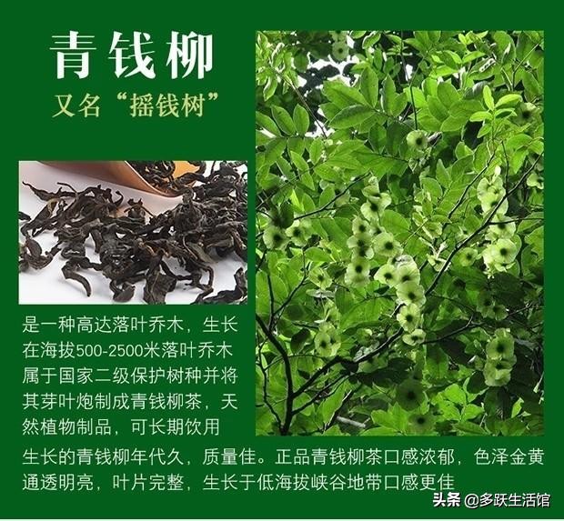 适合秋冬喝的代用茶,常见的代用茶