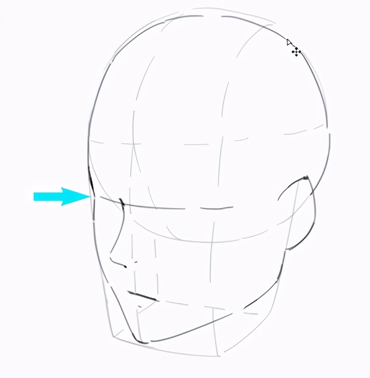 procreate写实人物起稿教程,二次元头像绘画新手教程
