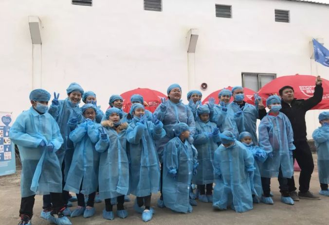 风靡香港79年，连续获得本土牛奶品牌销冠，今天带你解密维记牛奶