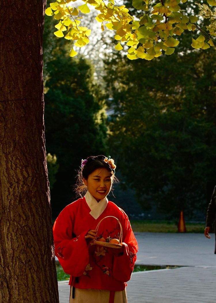 金色的北京犬,金色的北京现代汽车