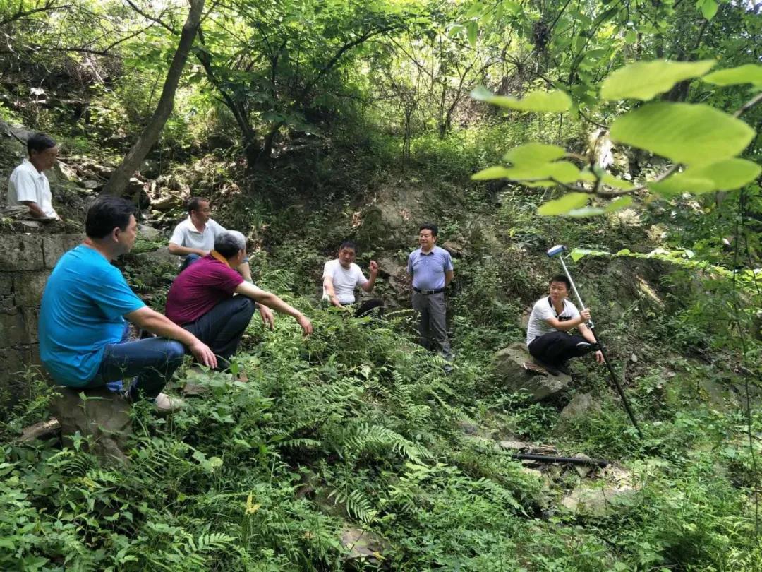 保康：大柳树下的“扶贫故事”