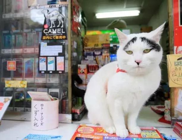 香港这家便利店的店长,靠着腮帮子走红了