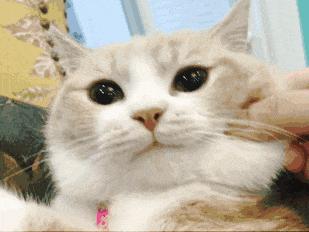 护肤心得分享一下,护肤知识干货笔记