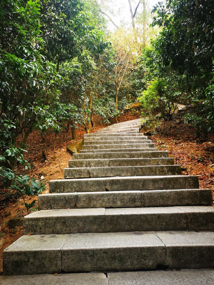 深圳宝安海滨公园游园图,深圳市娱乐场所