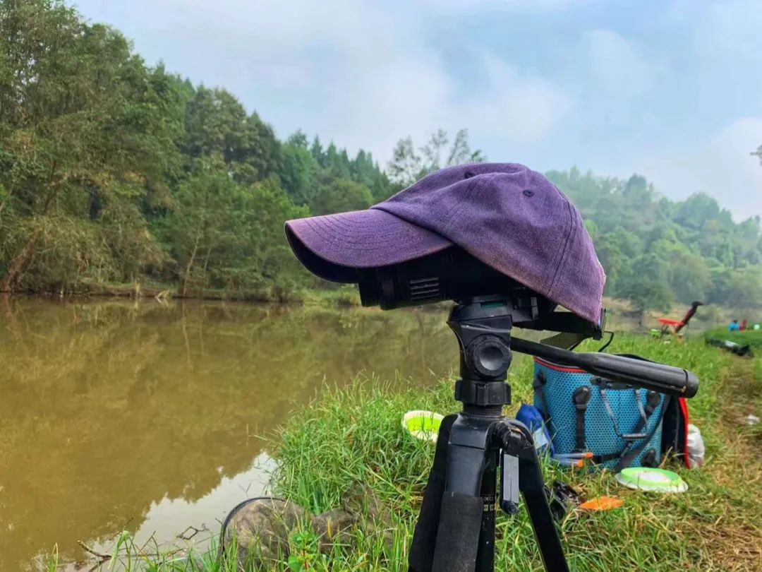 野奢不被鄙视？问问那些爱钓鱼的老孩子们，他们有活蹦乱跳的经验