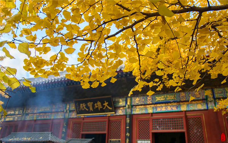 北京赏秋十大打卡地,北京赏秋