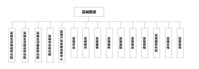 与康养、教育巨头合作,深剖蓝城集团的产业方向和路径