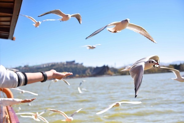 这个冬天特别冷没办法旅游,冬天这么冷的天还能出去玩吗