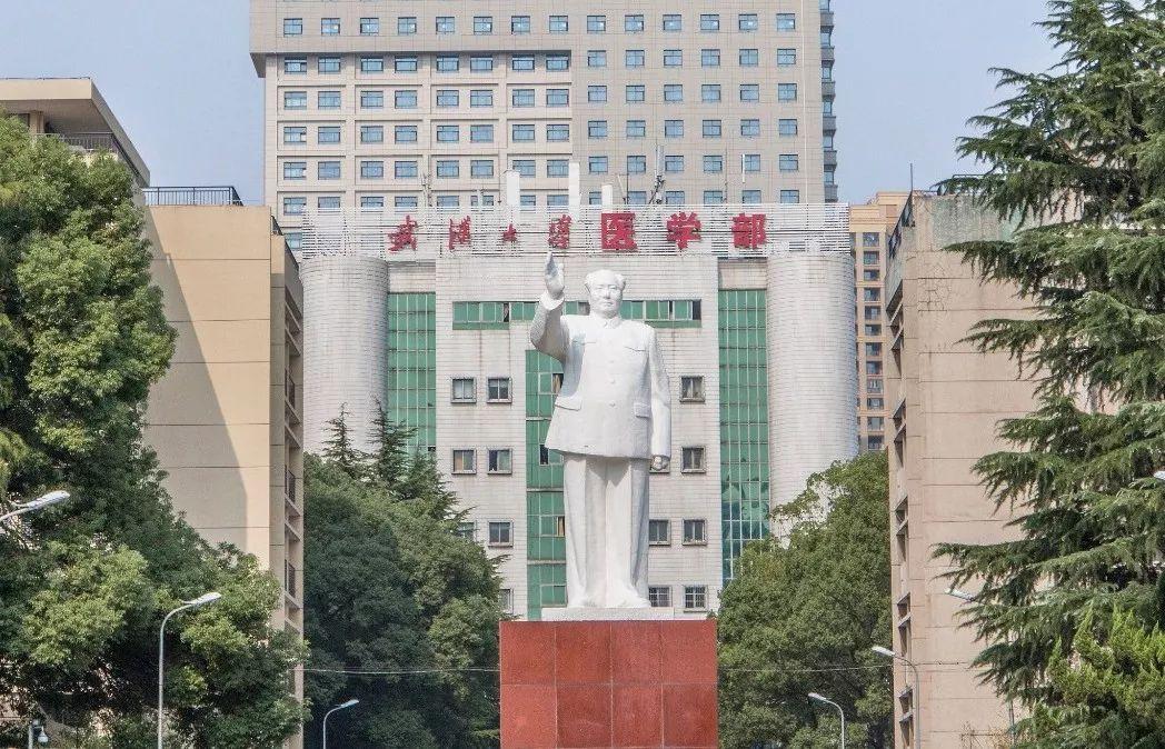 985大学哪个医学院最好,985大学的医学院怎么样