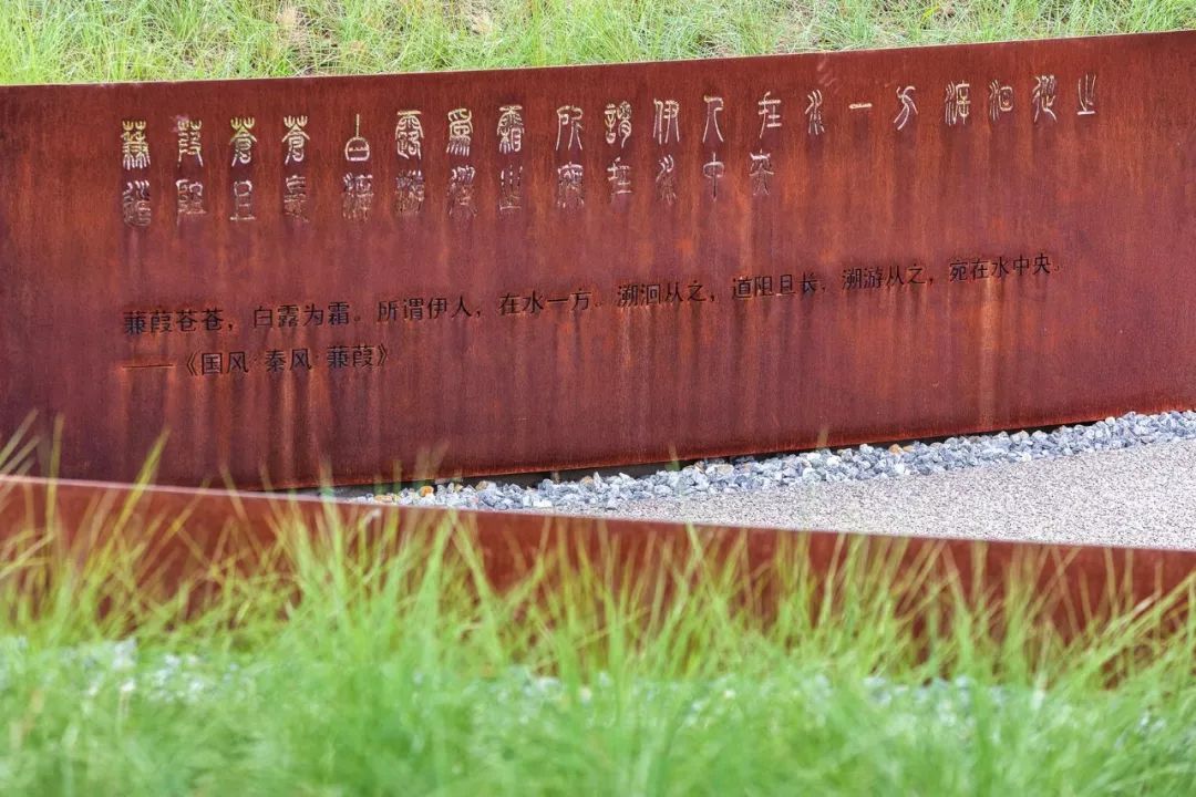 文字带来的魅力,奇特文字符号