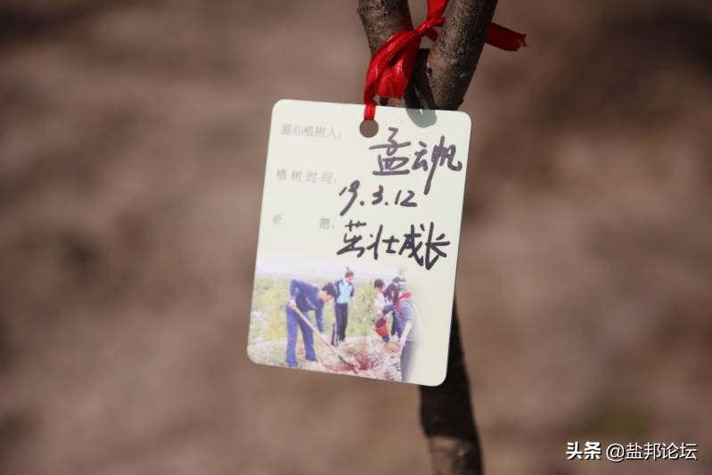 爱心植树公益活动,送温暖东风悦达起亚公益行