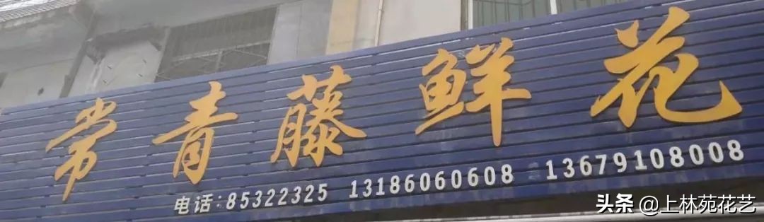 西安新年鲜花批发,西安鲜花店批发进货渠道