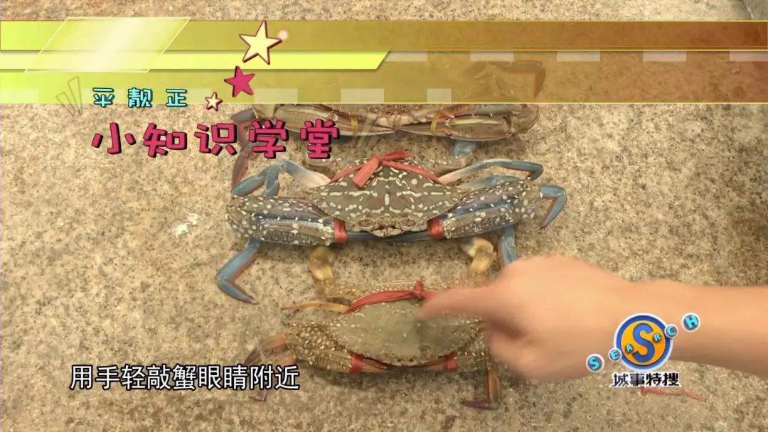 怎么挑选肥美的大闸蟹公蟹,秋季吃蟹指南